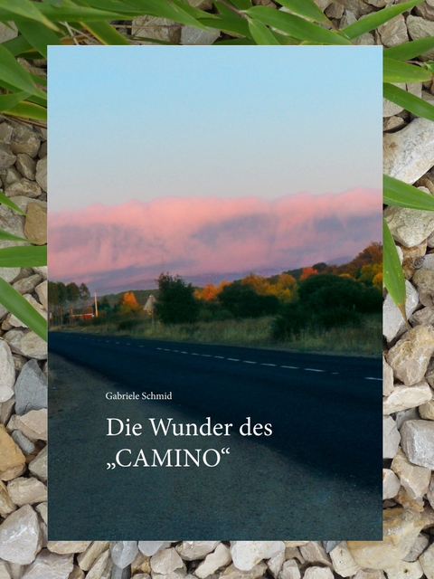 Die Wunder des "Camino" - Gabriele Schmid