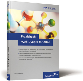 Praxisbuch Web Dynpro for ABAP