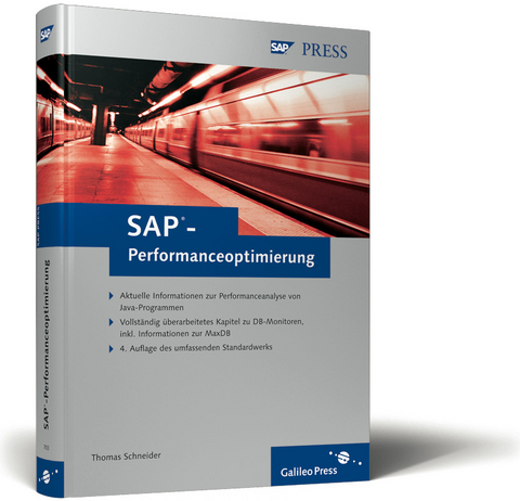 SAP-Performanceoptimierung - Thomas Schneider
