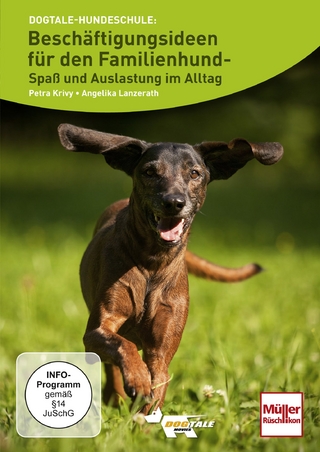 Beschäftigungsideen für den Familienhund