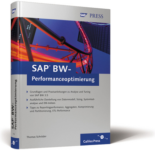 SAP BW-Performanceoptimierung