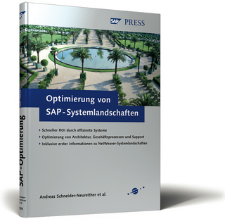 Optimierung von SAP-Systemlandschaften
