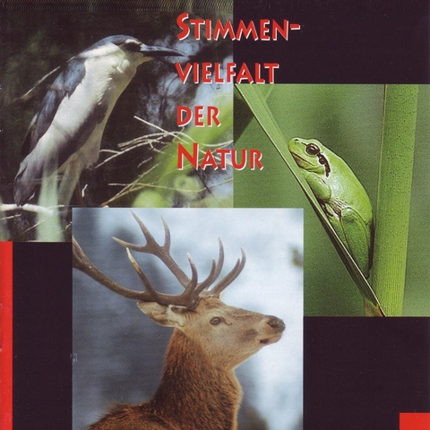 Stimmenvielfalt der Natur - Diethelm Zimmermann