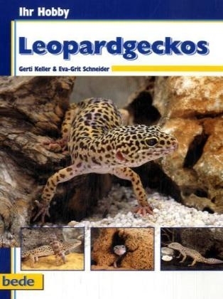 Ihr Hobby Leopardgeckos
