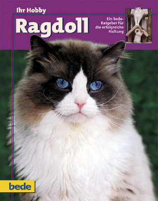 Ihr Hobby Ragdoll