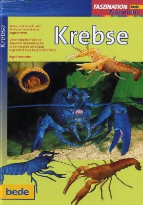 Faszination - Krebse