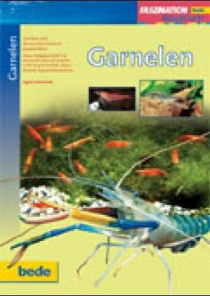 Faszination - Garnelen