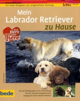 Mein Labrador Retriever zu Hause - Susanne Hintzen