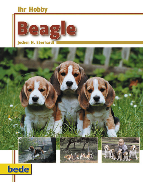 Ihr Hobby Beagle - Jochen H. Eberhardt