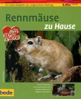Rennm&auml;use zu Hause - Madlen Wendt
