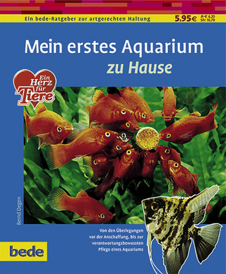 Mein erstes Aquarium zu Hause