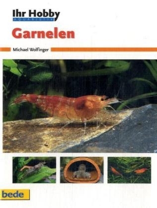 Ihr Hobby Garnelen