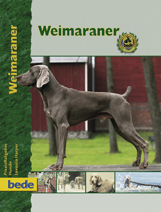 Weimaraner