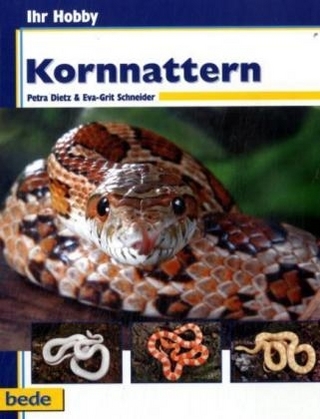 Ihr Hobby Kornnattern