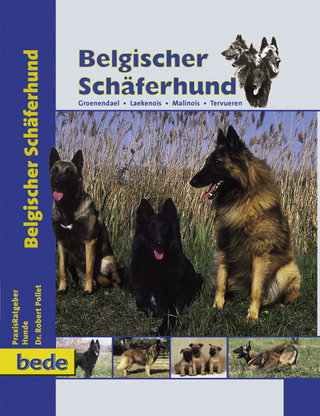 Belgischer Schäferhund