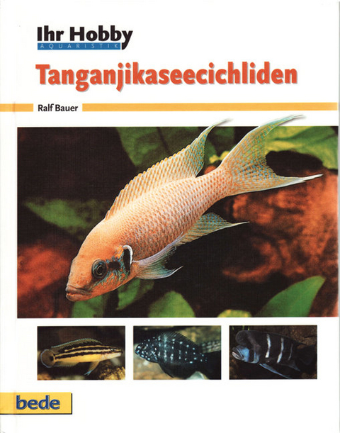 Tanganjikaseecichliden - Ralf Bauer