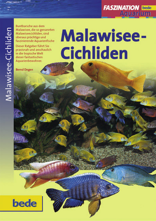 Faszination Malawisee-Cichliden