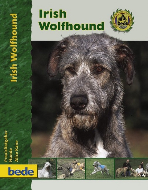 Irish Wolfhound - Alice Kane