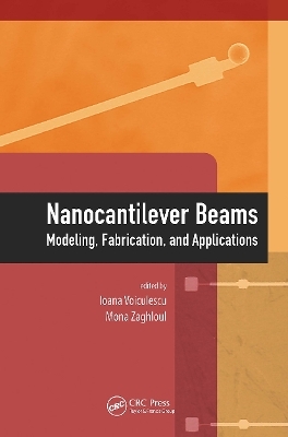 Nanocantilever Beams