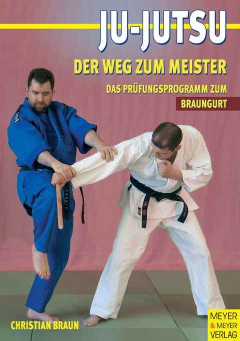 Ju Jutsu - Der Weg zum Meister - Christian Braun