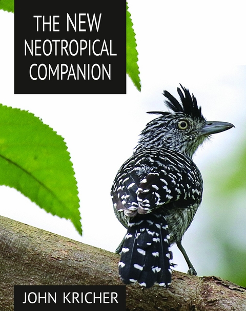The New Neotropical Companion - John C. Kricher