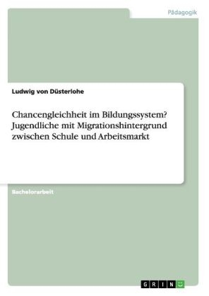Chancengleichheit im Bildungssystem? Jugendliche mit Migrationshintergrund zwischen Schule und Arbeitsmarkt - Ludwig von D&Atilde;&frac14;sterlohe