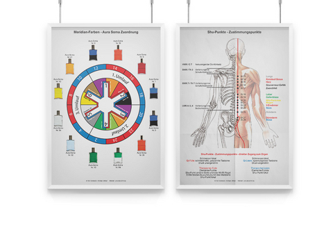 AMM & TCM Lehrtafel Shu- / Zustimmungspunkte und Meridianfarben - Michael Uhrhan