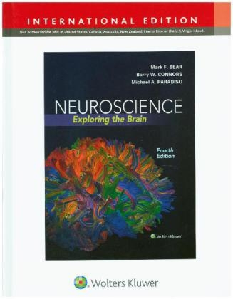 Neuroscience - Mark F. Bear, Barry Connors, Mike Paradiso