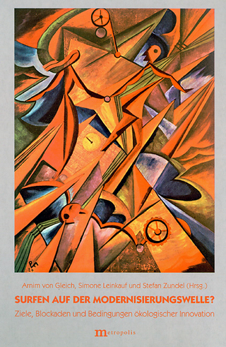 Surfen auf der Modernisierungswelle?