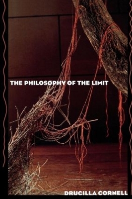 The Philosophy of the Limit - ucilla Cornell