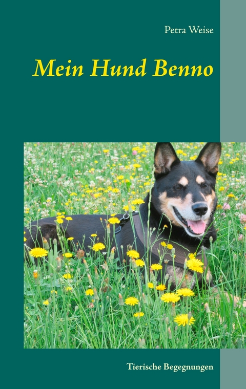 Mein Hund Benno - Petra Weise