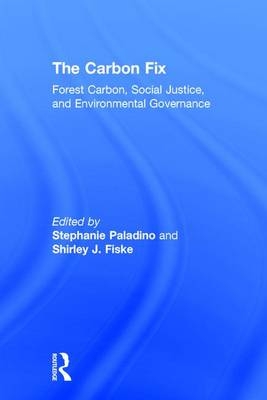 Carbon Fix - 