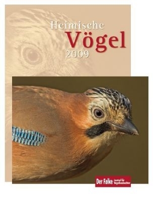 Heimische Vögel 2008
