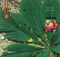 Das kreative Sachbuch 