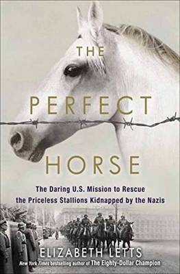Perfect Horse -  Elizabeth Letts