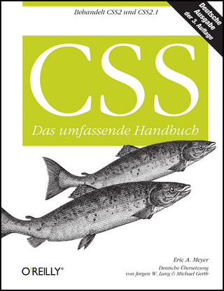 CSS - Das umfassende Handbuch