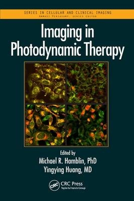 Imaging in Photodynamic Therapy - 
