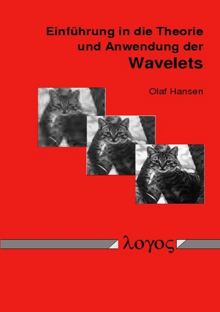 Einführung in die Theorie und Anwendung der Wavelets