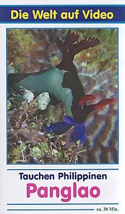 Panglao Tauchen in