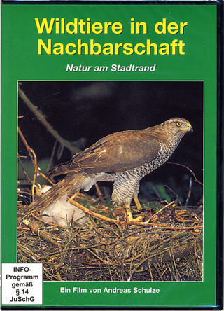 Wildtiere in der Nachbarschaft