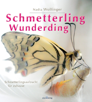 Schmetterling - Wunderding
