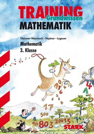 Training Mathematik - Grundwissen 3.Kl.