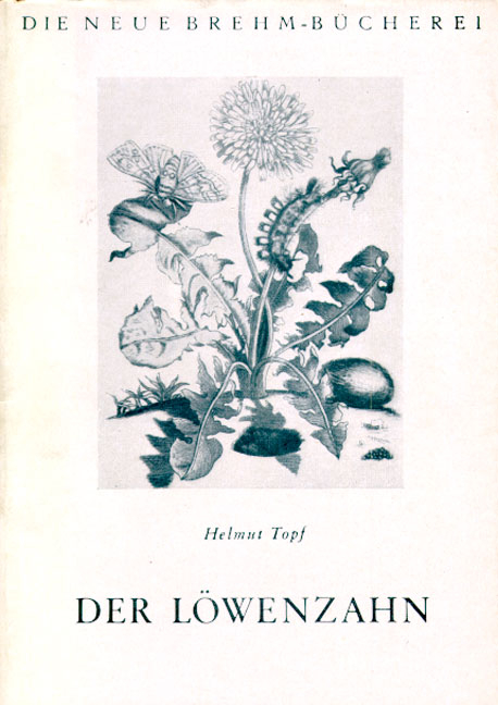 Der L&ouml;wenzahn - Helmut Topf