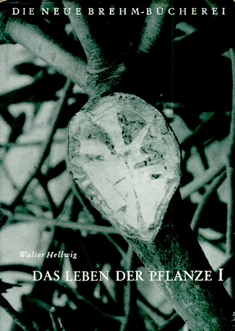 Das Leben der Pflanze - Walter Hellwig