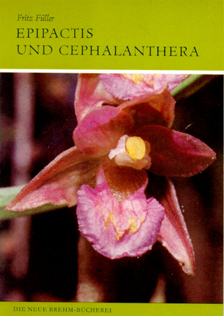 Orchideen Mitteleuropas / Epipactis und Cephalanthera