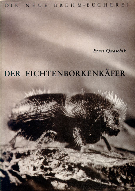 Der Fichtenborkenk&auml;fer - Ernst Quaschik