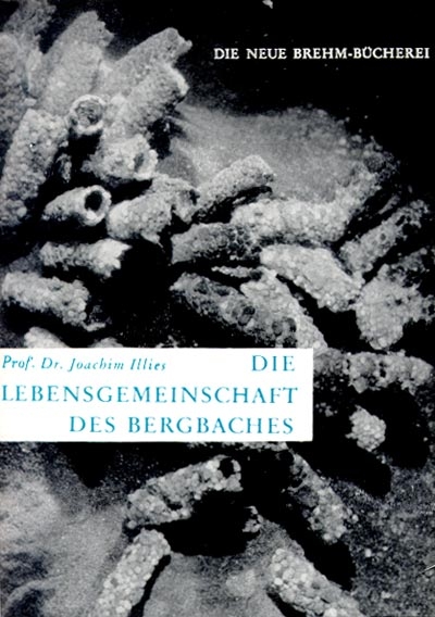 Die Lebensgemeinschaft des Bergbaches - Joachim Illies