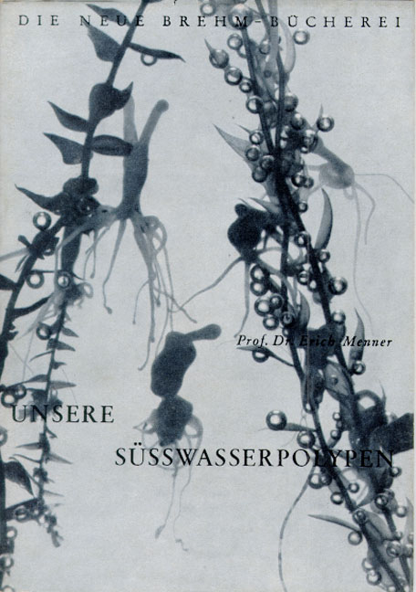 Unsere S&uuml;&szlig;wasserpolypen - Erich Menner