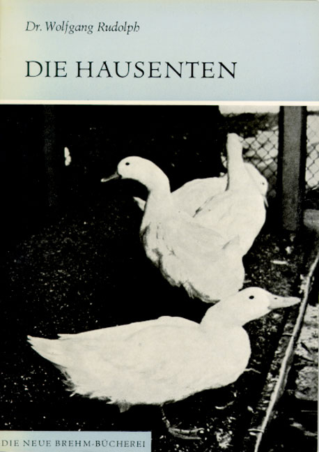 Die Hausenten - Wolfgang Rudolph