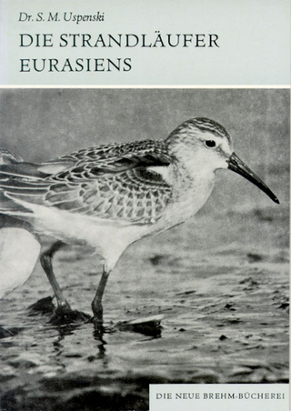 Die Strandläufer Eurasiens